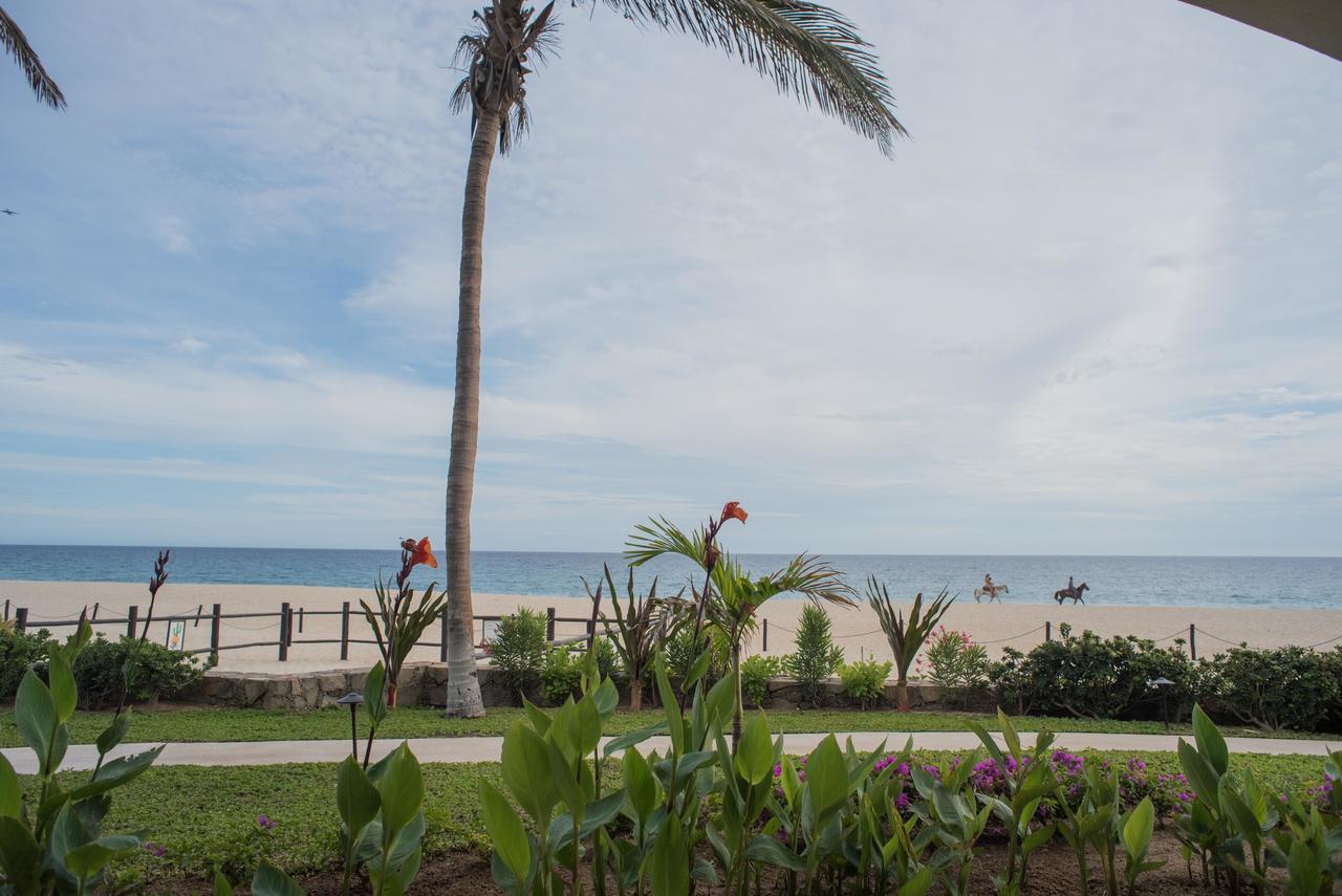 فندق San José del Caboفي  Tortuga Bay Tbb 2101 المظهر الخارجي الصورة